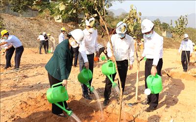 THÔNG CÁO BÁO CHÍ EVN TỔ CHỨC PHÁT ĐỘNG HƯỞNG ỨNG  PHONG TRÀO “TẾT TRỒNG CÂY” NĂM 2021