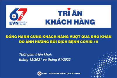 EVN triển khai thực hiện 