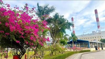 Công ty Nhiệt điện Mông Dương: Vận hành an toàn, ổn định gắn với bảo vệ môi trường